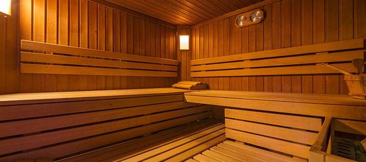 Alpino Wellness Sauna