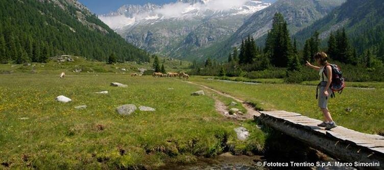Trentino Wandern Adamellobrenta 5