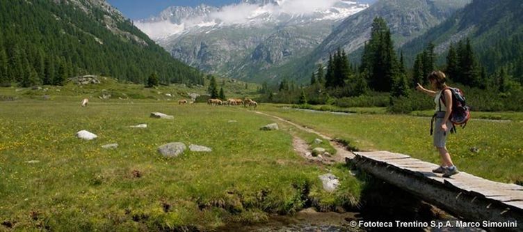 Trentino Wandern Adamellobrenta